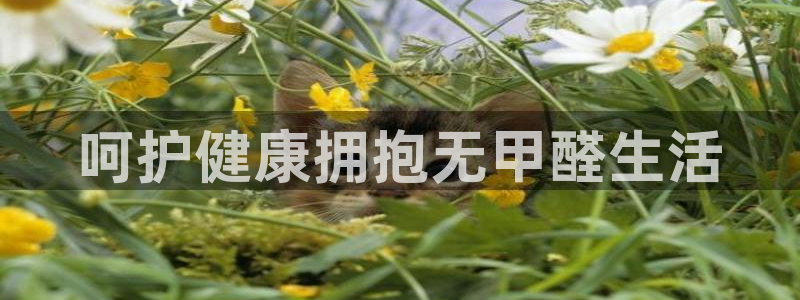 杏耀平台手机下载