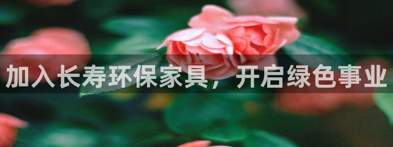 杏耀主管qq