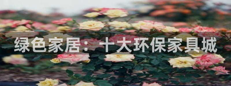 杏耀登陆
