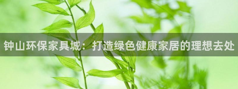 杏耀平台代理怎么赚钱的