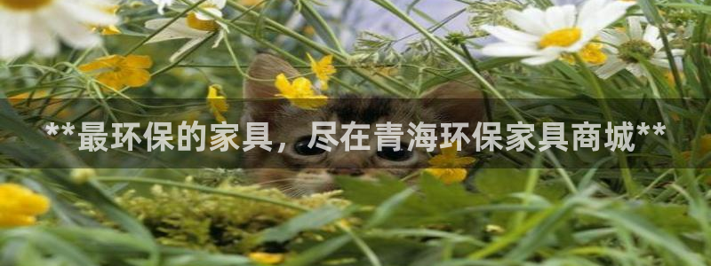 杏耀平台待遇
