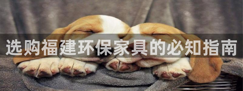杏耀平台主管