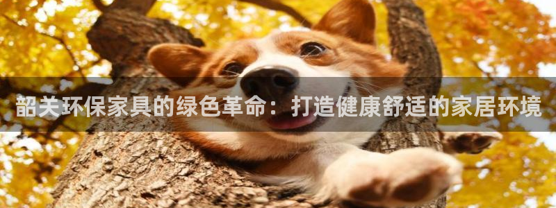 杏耀手机客户端