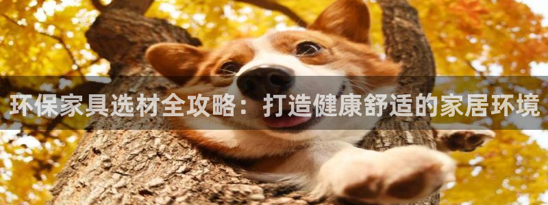 杏耀官方网