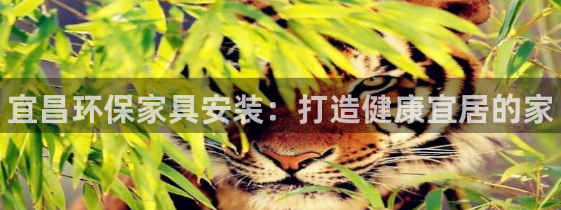 杏耀平台手机