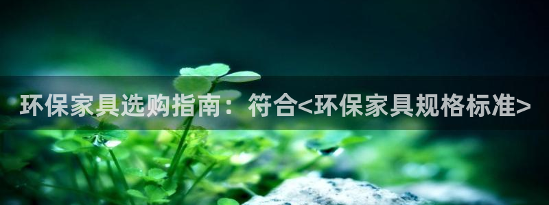 杏耀总代