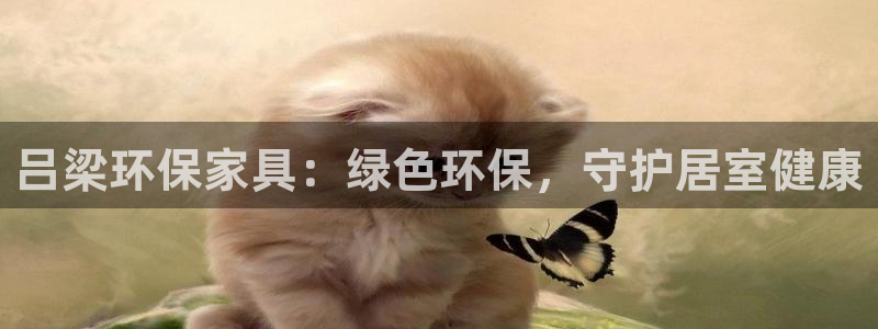 杏耀平台可以提款吗