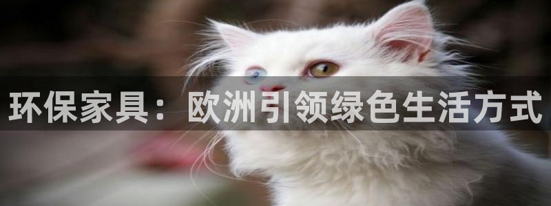 杏耀登陆
