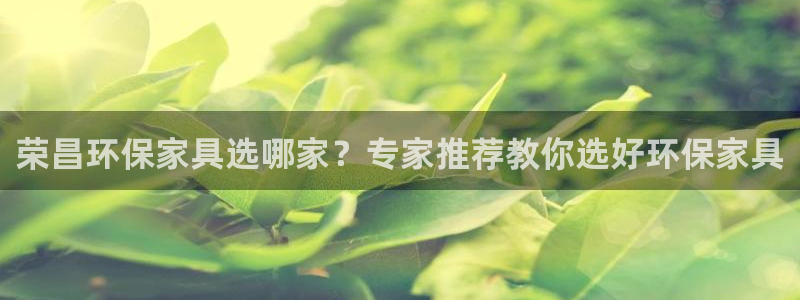 杏耀代理日工资多少