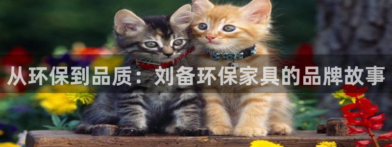 杏耀平台官网网址：从环保到品质：刘备环保家具的品牌故事