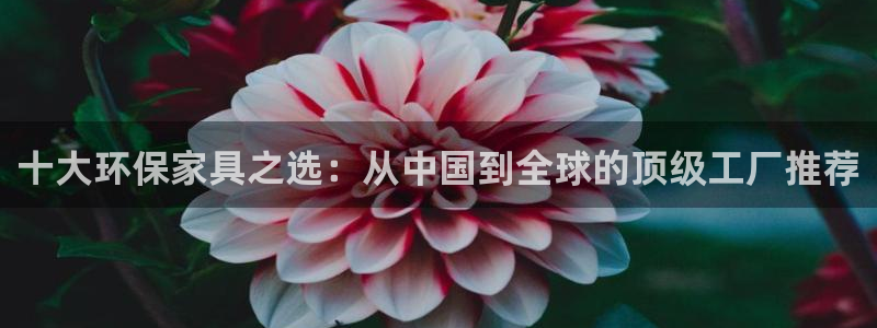 杏耀平台登陆地址