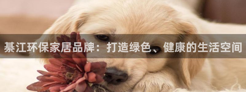 杏耀平台登录方式：綦江环保家居品牌：打造绿色、健康的生活空间