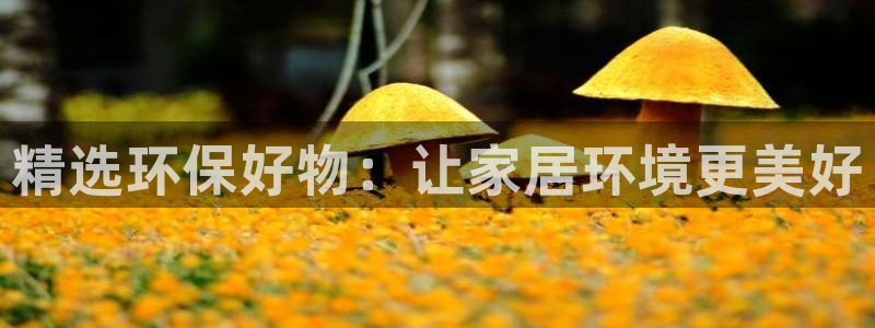 杏耀代理主管qq