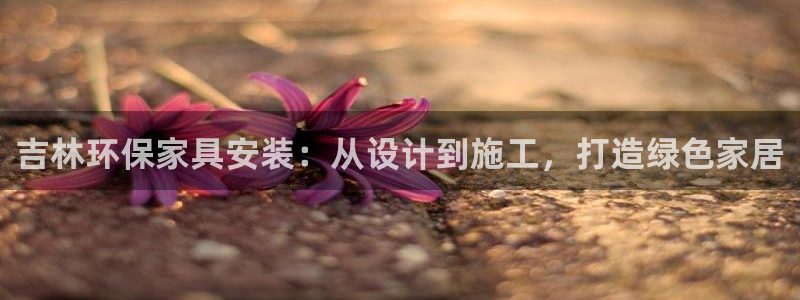 杏耀平台地址：吉林环保家具安装：从设计到施工，打造绿色家居