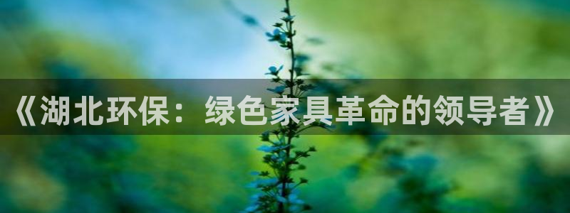 杏耀平台手机app：《湖北环保：绿色家具革命的领导者》