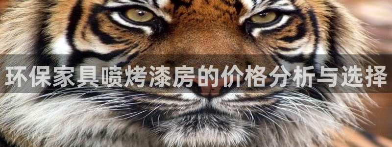 杏耀总代：环保家具喷烤漆房的价格分析与选择