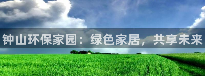 杏耀代理日工资多少