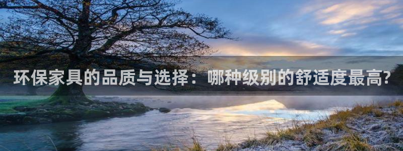 杏耀平台注册地址：环保家具的品质与选择：哪种级别的舒适度最高