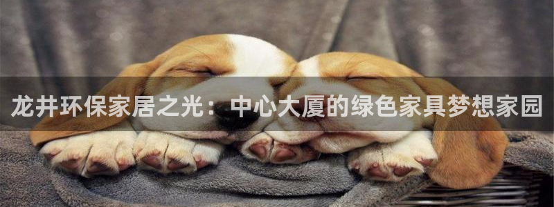 杏耀代理主管qq：龙井环保家居之光：中心大厦的绿色家具梦想家