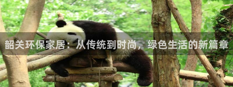 杏耀代理连接