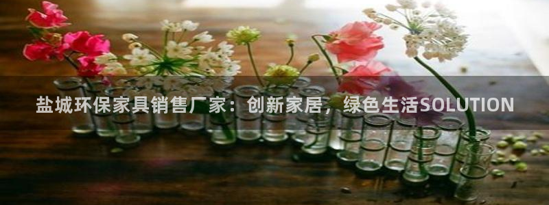 杏耀官方：盐城环保家具销售厂家：创新家居，绿色生活SOLUT