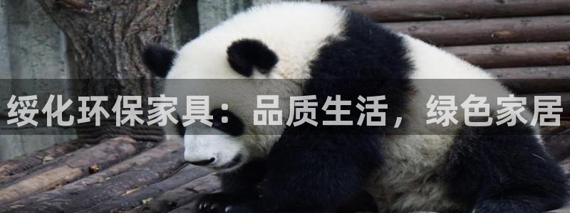 杏耀平台的专用通道：绥化环保家具：品质生活，绿色家居