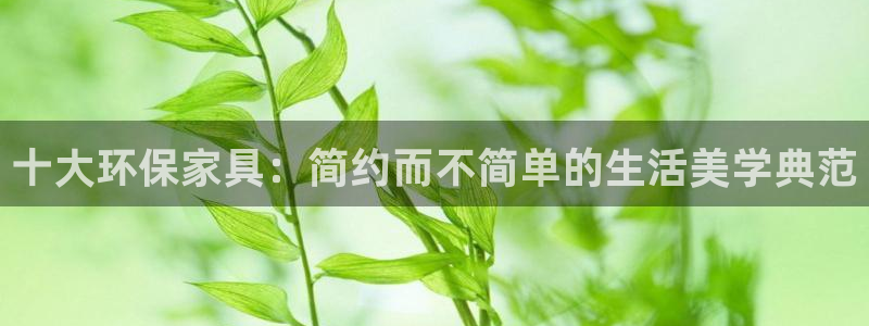 杏耀主管qq：十大环保家具：简约而不简单的生活美学典范