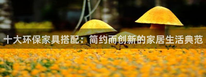 杏耀平台官方网站下载：十大环保家具搭配：简约而创新的家居生活