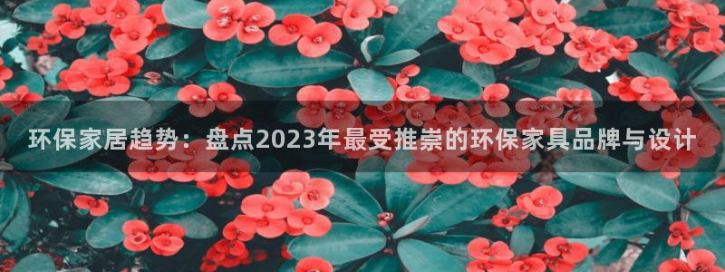 杏耀平台几年了：环保家居趋势：盘点2023年最受推崇的环保家