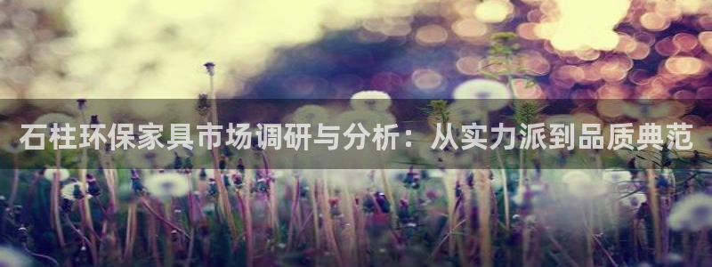 杏耀注册代理：石柱环保家具市场调研与分析：从实力派到品质典范