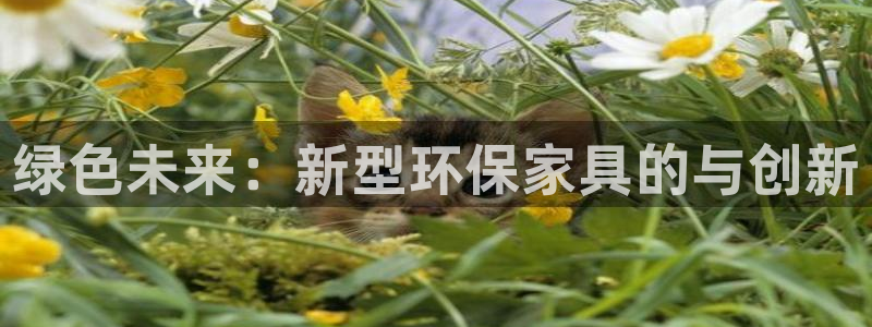 杏耀平台到底能玩吗：绿色未来：新型环保家具的与创新