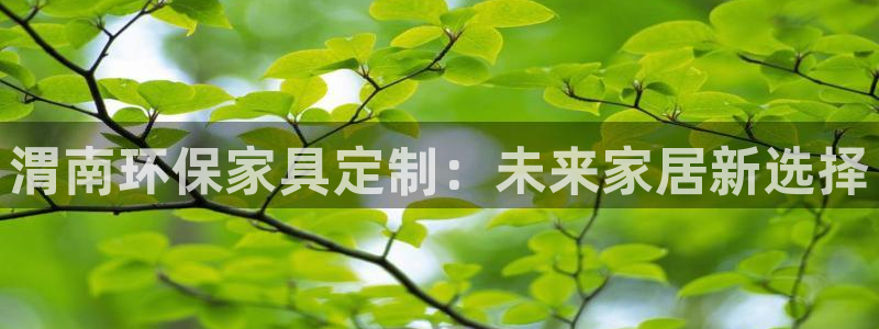 杏耀注册登录：渭南环保家具定制：未来家居新选择