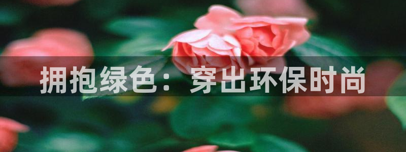 杏耀测速网址电脑版